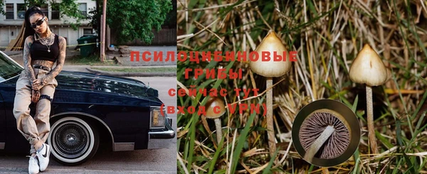 СК Переславль-Залесский