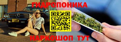 метадон Аргун