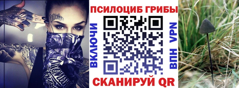 Галлюциногенные грибы мицелий  hydra маркетплейс  Архангельск 
