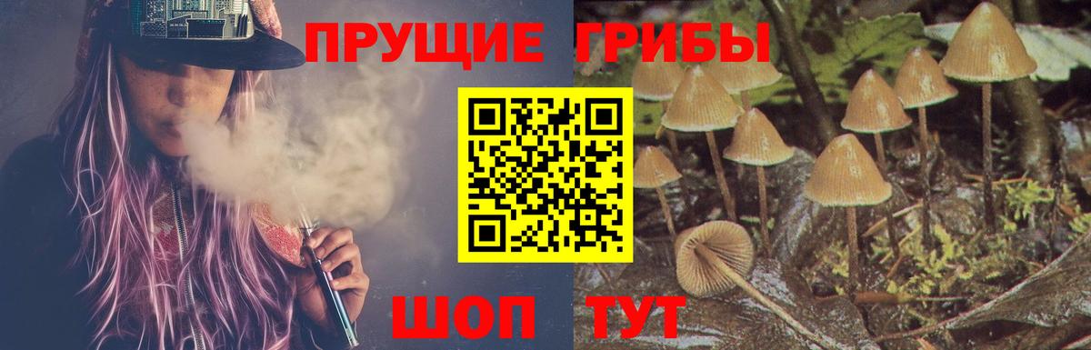 Псилоцибиновые грибы Psilocybe  магазин продажи наркотиков  Архангельск  Вход с VPN  Галлюциногенные грибы ЛСД 