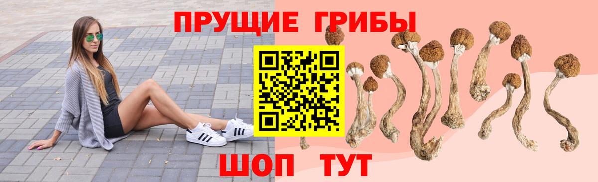 Галлюциногенные грибы Cubensis Архангельск